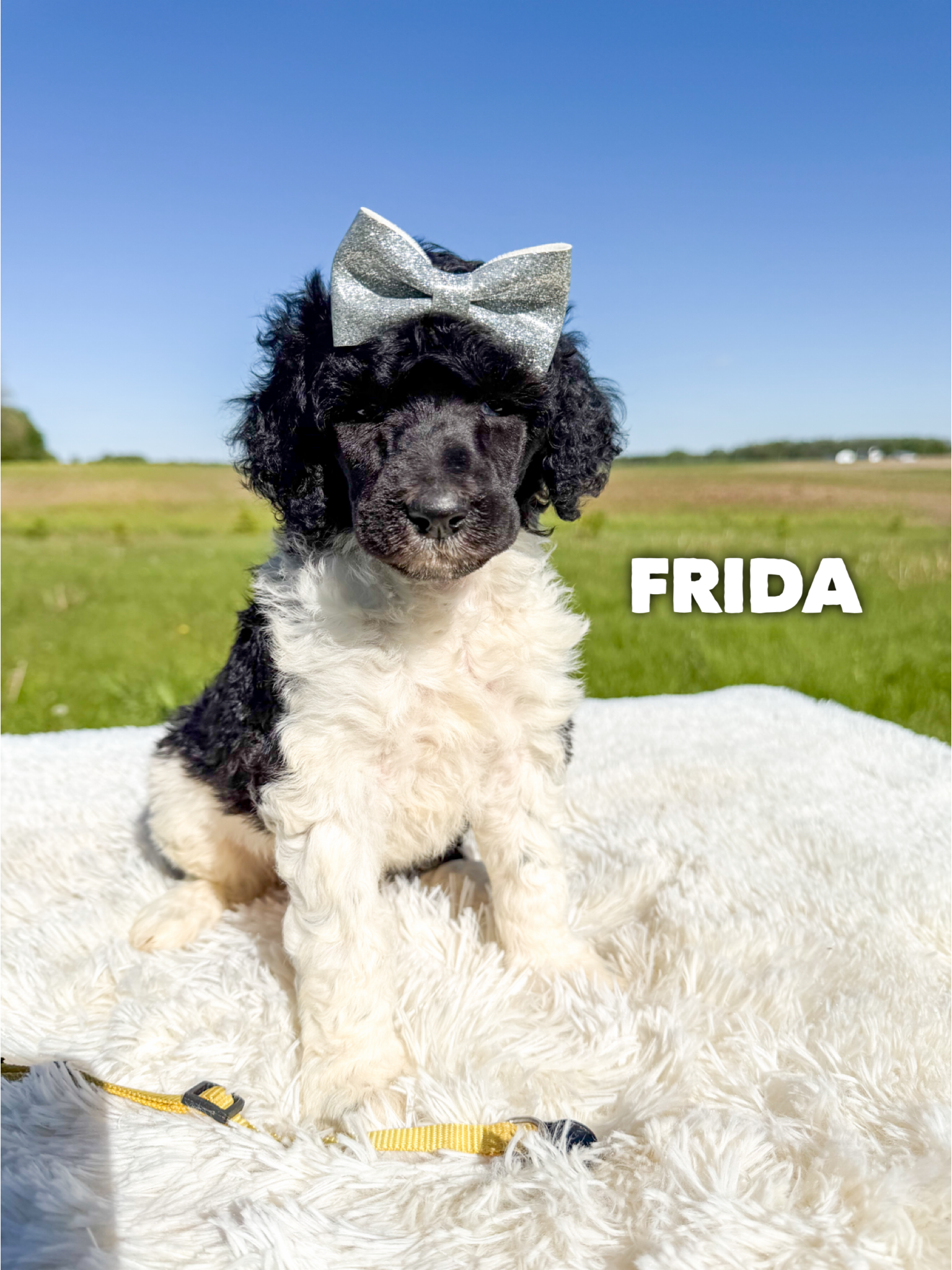 Frida 1
